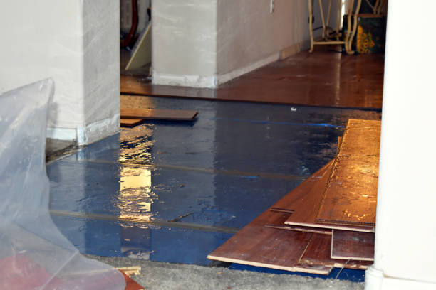 Professional Flood Damage Restoration technician working in Hull, TX